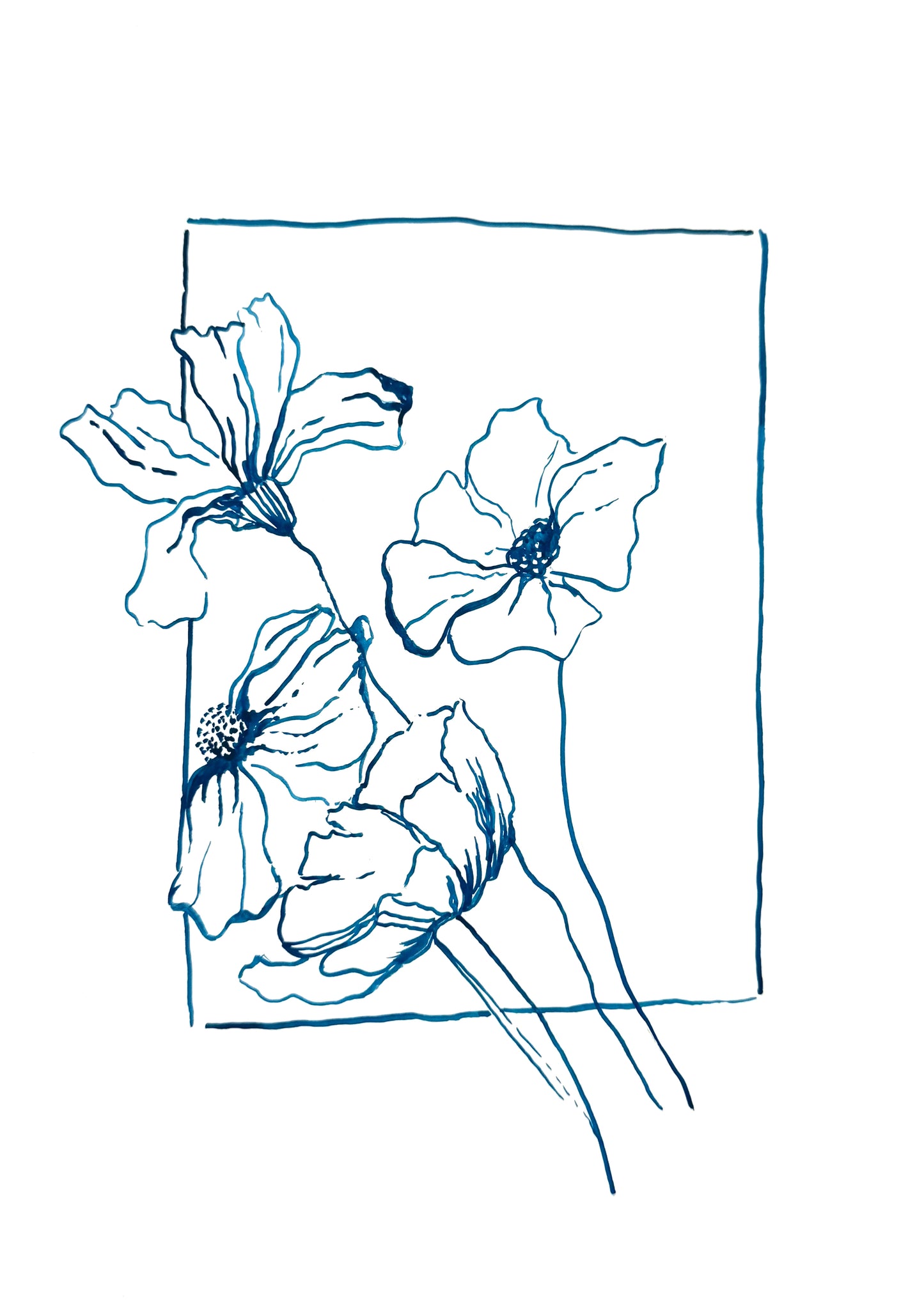 Delicate Line Flowers Blue Ink Print