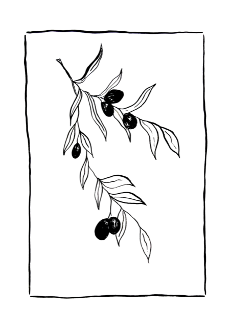 Olive Branch Print