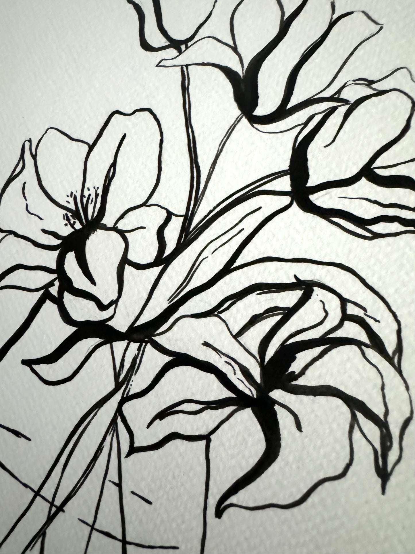 Original Lilly Still Life Ink Drawing