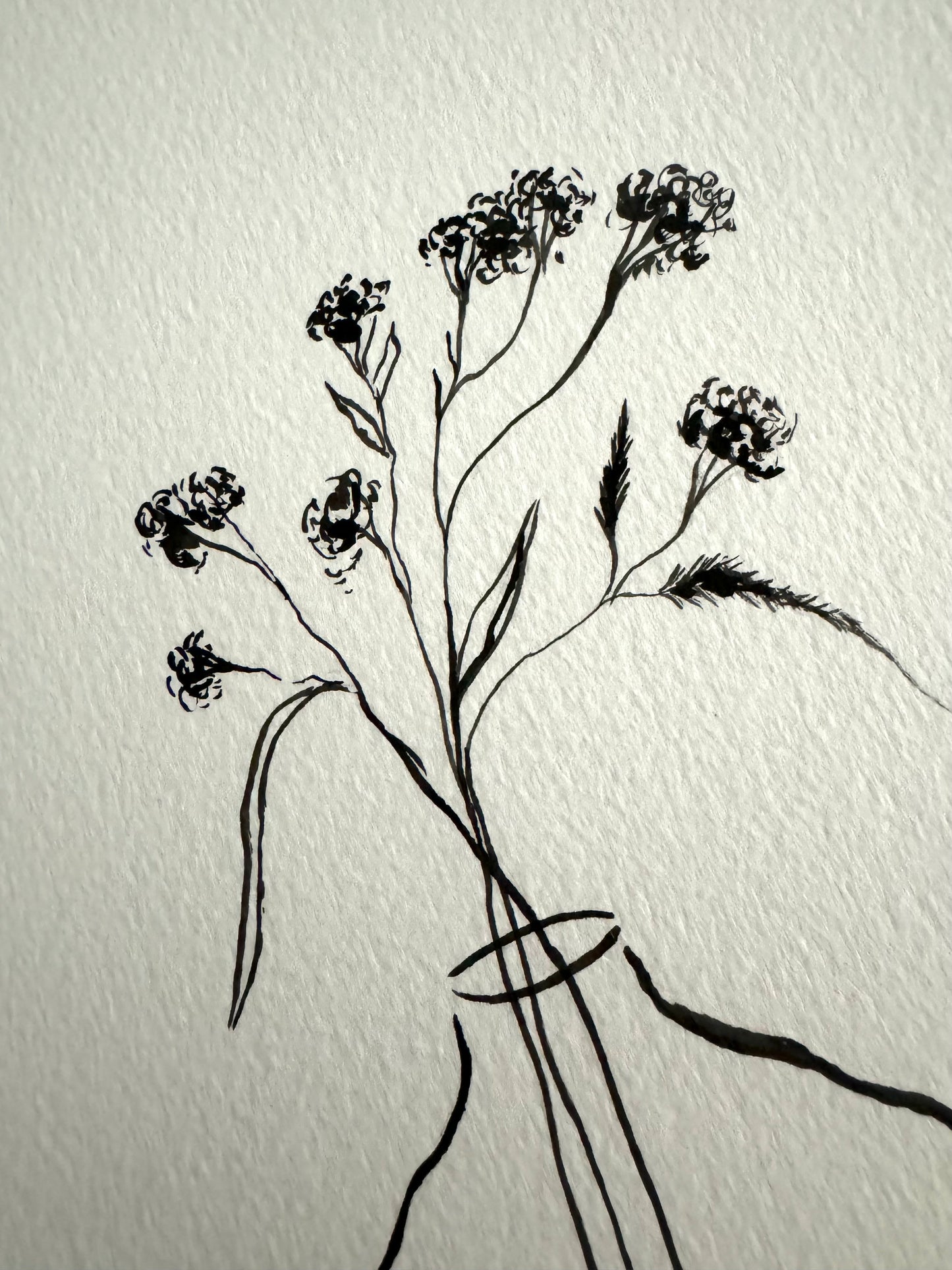 Original Gypsophila Still Life Ink Drawing