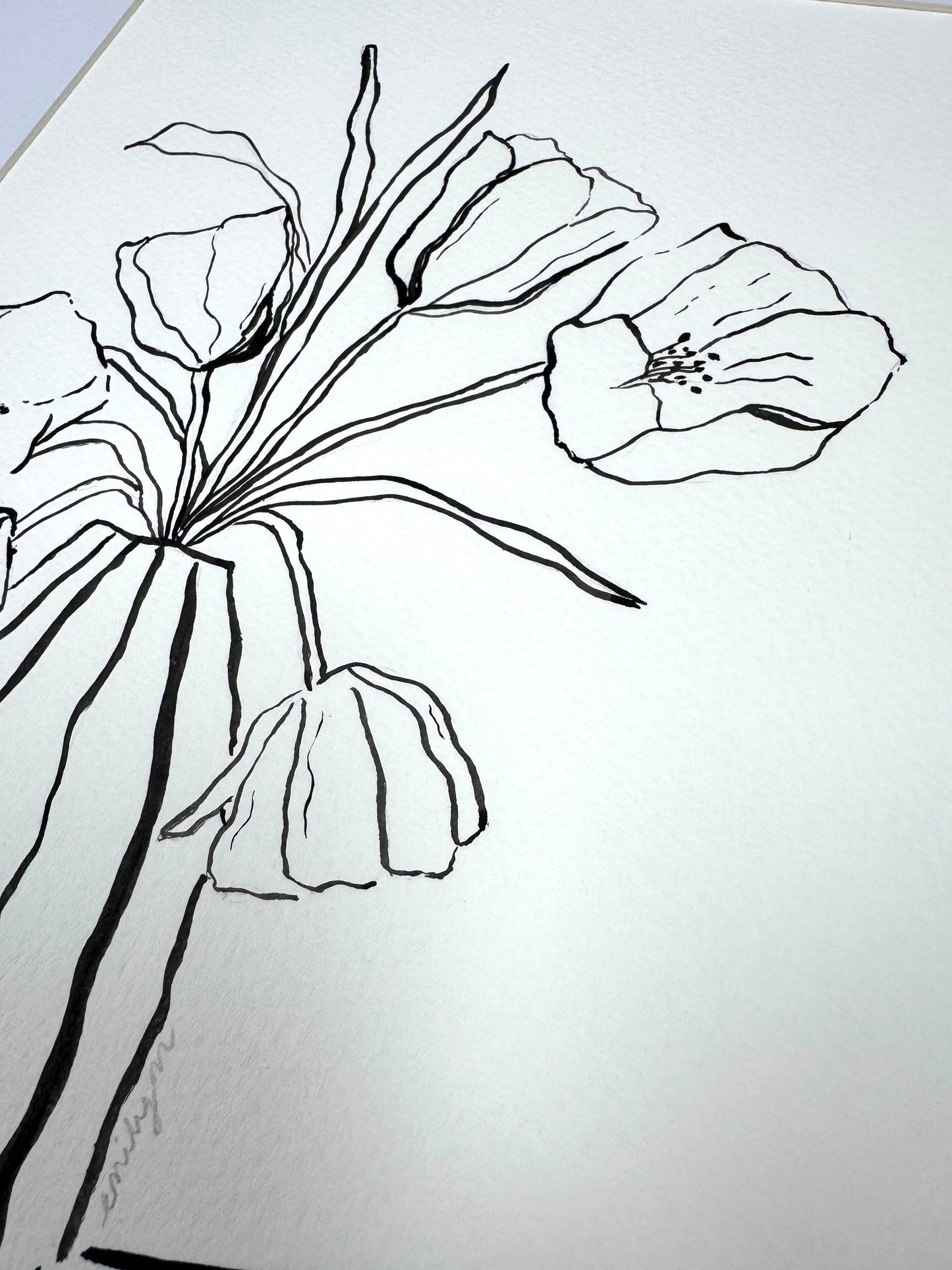 Tulips Original Black Ink Still Life Drawing