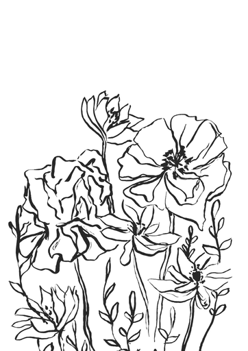 Flower Garden Ink Drawing Print